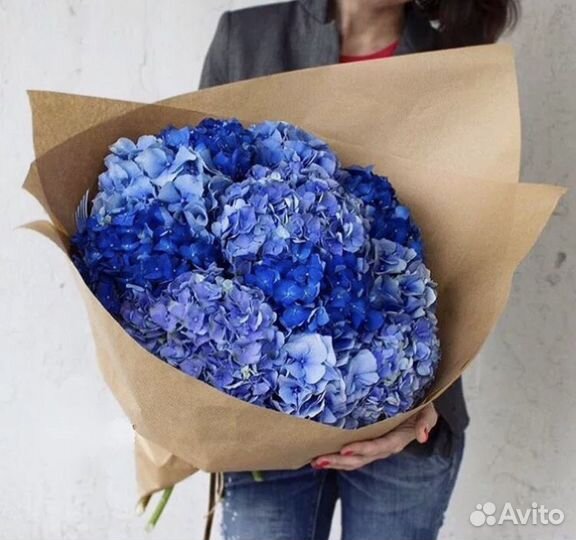 Гортензии цветы доставка
