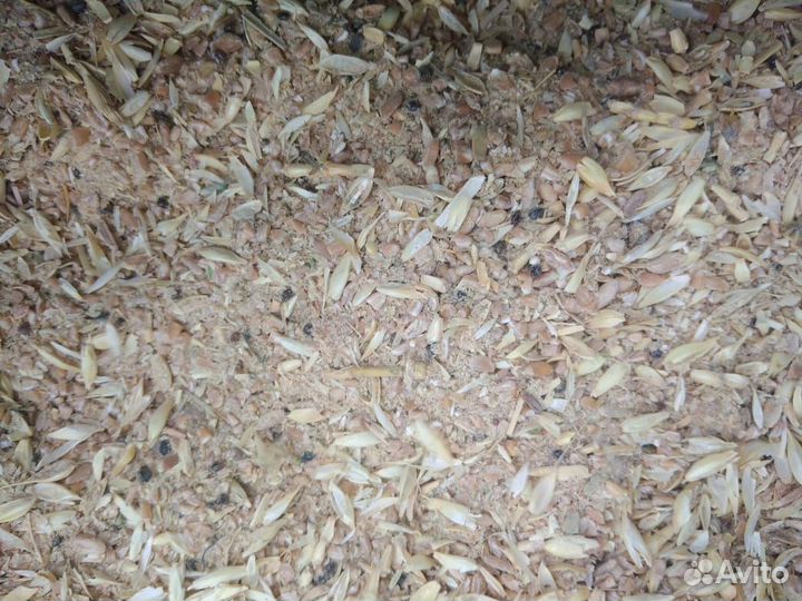 Зерновые отходы