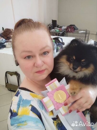 Инструктор по вязке собак