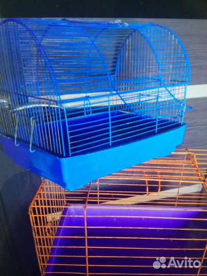 Клетка и многое дрррр