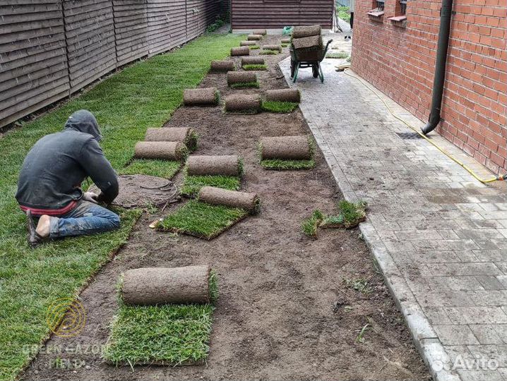 Газон премиальный высокое качество