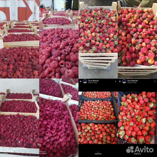 Бесплатная доставка Клубника И малина из киргизии