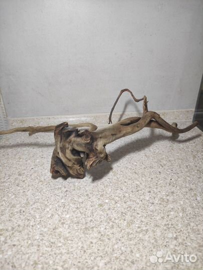 Коряги для аквариума