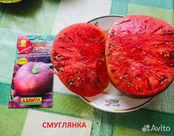 Рассада помидор черри и огурцов