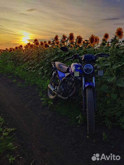 Ирбис gs 150