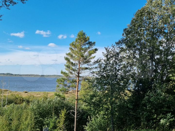 Участок 69,45 га (СНТ, ДНП)