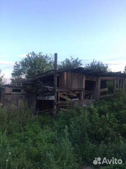 Отдам дрова бесплатно