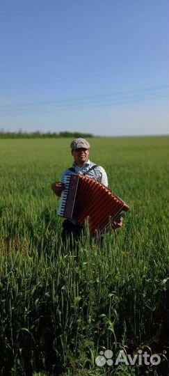 Аккордеонист Баянист Гармонист на праздники