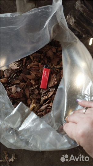 Сосновая кора