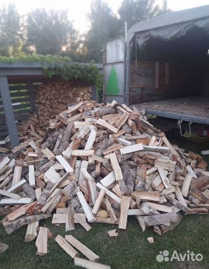 Дрова колотые березовые