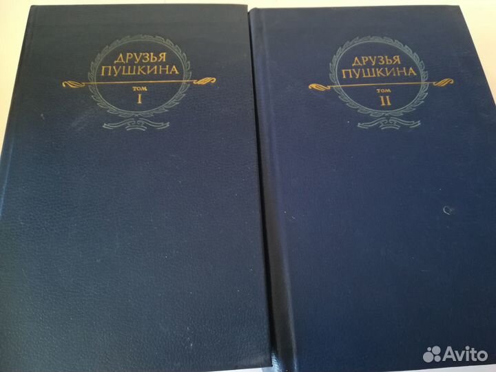 Друзья Пушкина в 2т (переписка,воспоминания,днев)