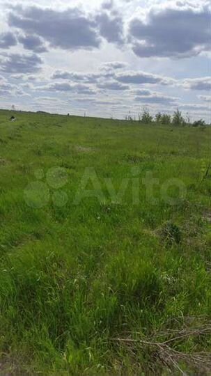 Участок 29 сот. (ИЖС)