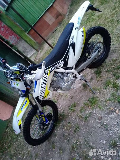 Avantis fx250lux