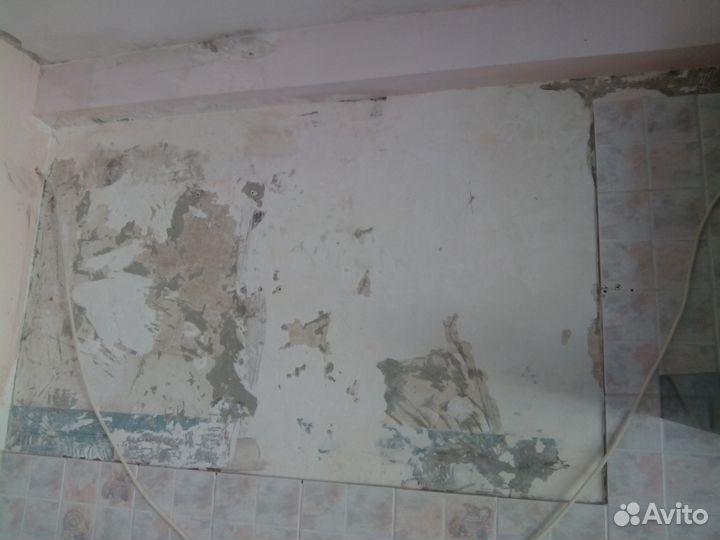 Удаление Плесени Грибка Экспертиза