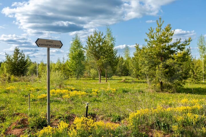 Участок 11,1 сот. (ИЖС)