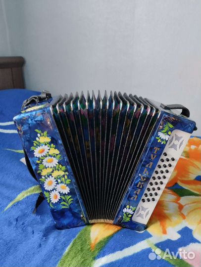 Гармонь любительская тульская