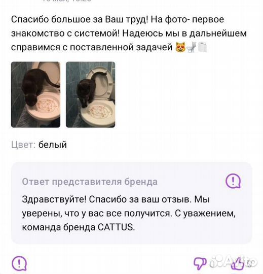 Система приучения кошек к унитазу