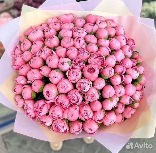 Пионы Букет пионов Доставка цветов