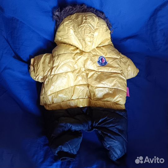 Комбинезон для собаки