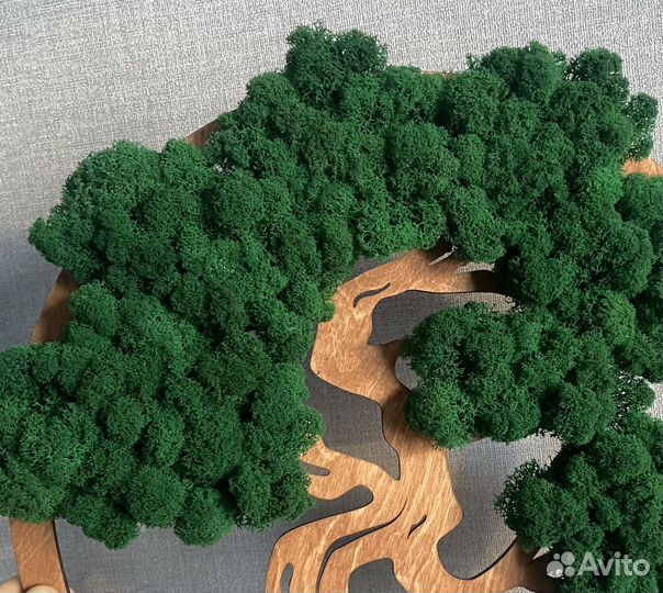 Панно дерево с стабилизированным мхом