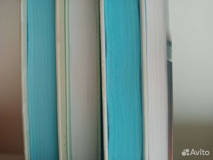 Сэлинджер (книги) над пропастью во ржи