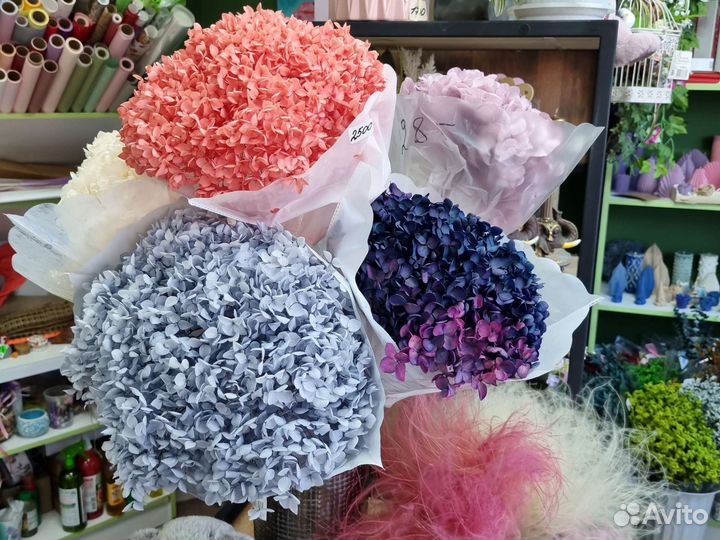 Стабилизированные сухоцветы