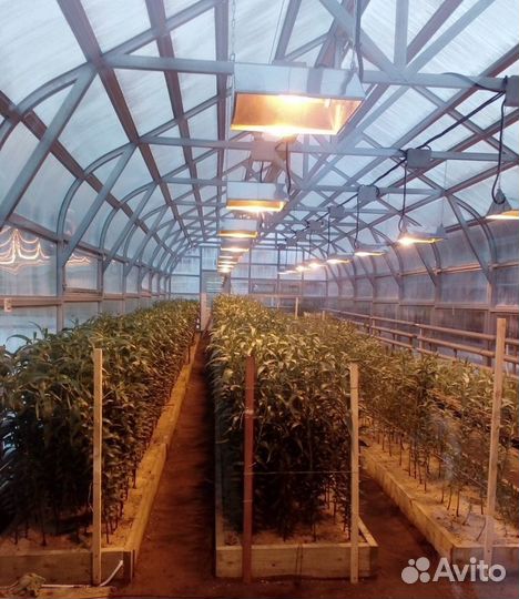 Электрик Услуги электрика Электромонтаж