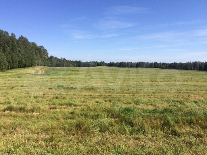 Участок 1,54 га (СНТ, ДНП)