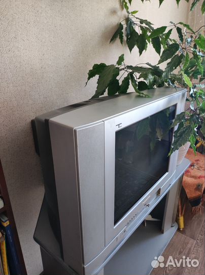 Телевизор Panasonic TC-21GX10TS