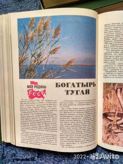 Юный натуралист годовой переплет