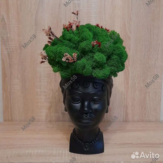 Стабилизированный мох/декор/цветы/подарок/ кашпо