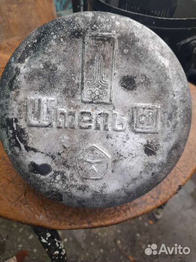 Примус шмель