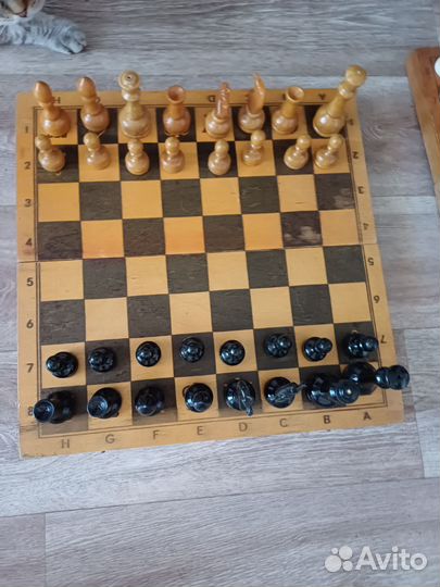 Шахматы