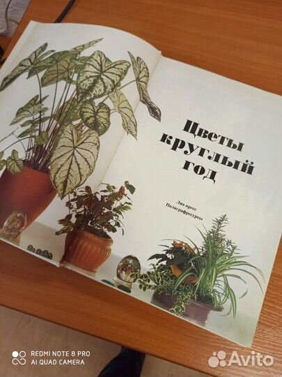 Книга