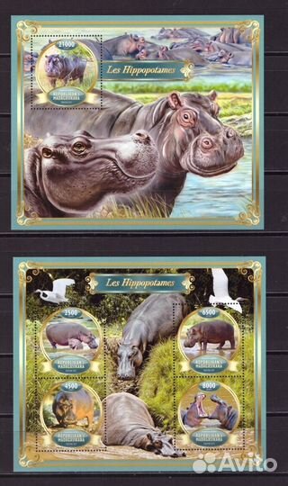Мадагаскар, 2022. Фауна, бегемоты (мл+блок)