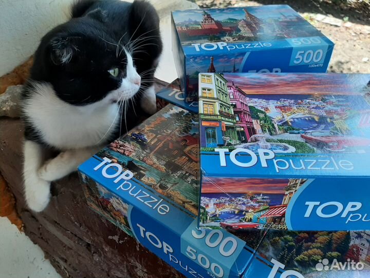 Пазлы 500 пакетом 6 коробок