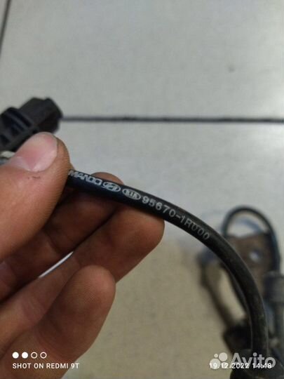 Датчик abs передний левый Hyundai Solaris 1