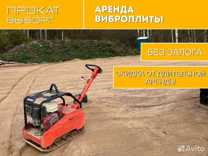 Аренда\прокат виброплиты