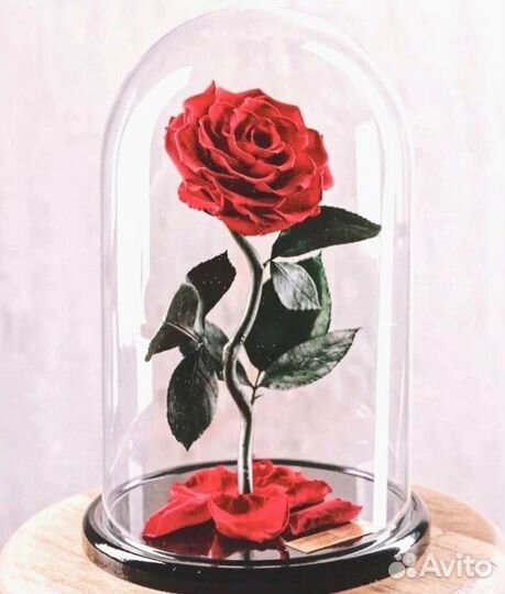 Розы в колбе любые