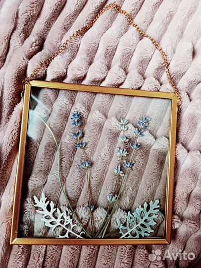 Лаванда под стеклом