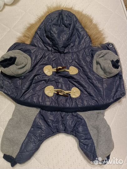 Одежда для маленьких собак чихуа