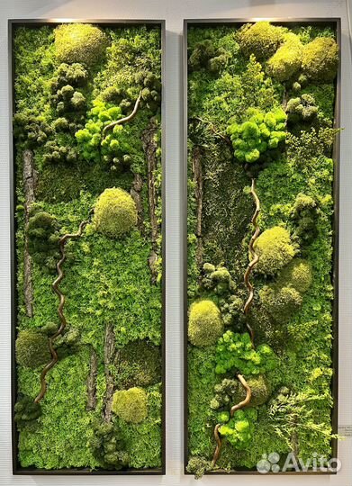 Помощник декоратора/фитодизайнера