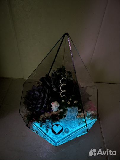 Флорариум своими руками