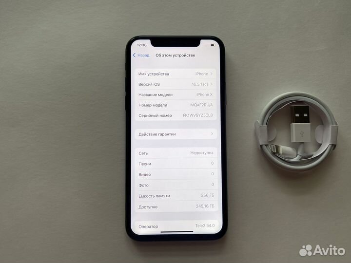 iPhone X (256 gb)