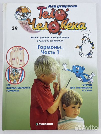 Тело человека. Гармоны 1