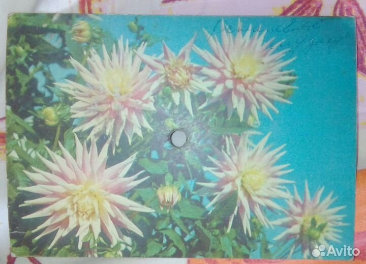 Виниловая пластинка грампластинка Мелодия СССР