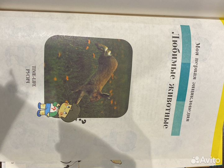 Деская книга