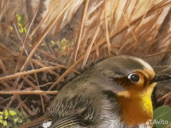 Немецкая Настенная Тарелка. Птицы. Винтаж Фарфор