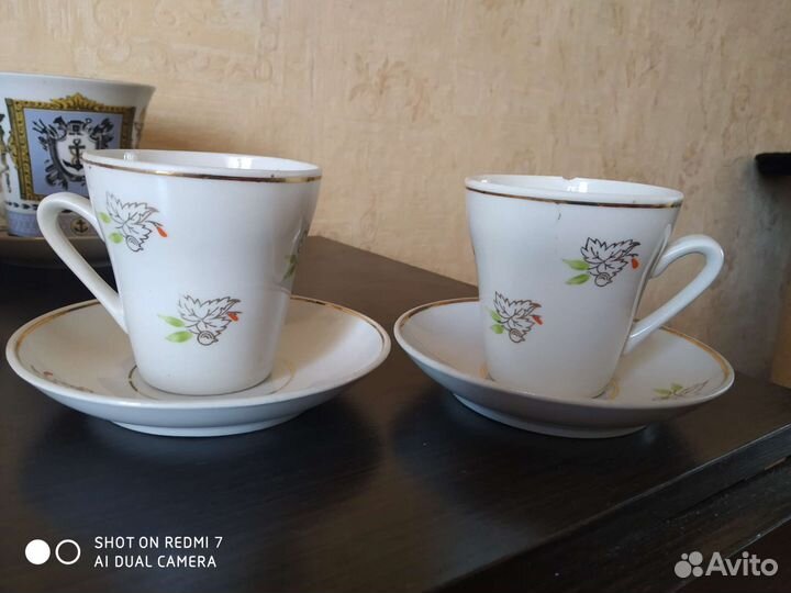 Фарфоровая посуда: лфз, Полонное