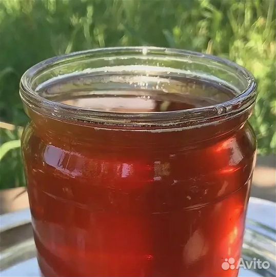 Мёд кориандровый